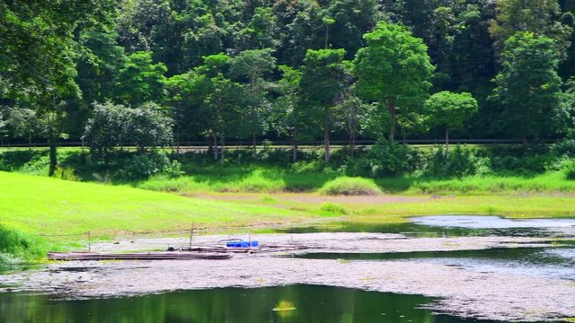 4K video of Mae Puem national park, Thailand.