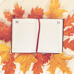 An open diary (or notebook, organizer) with lined sheets is on a white wooden background. Nearby are dried oak and maple leaves.