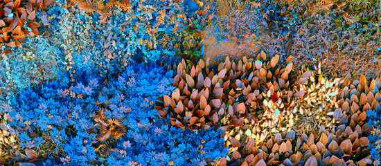 Wall with tropical plants. Nature  background.