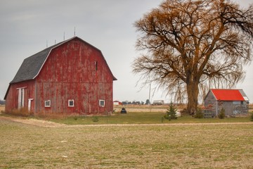 Fototapeta premium 0616 - Loomis Road Red (0616-BAR-120417-0228P)