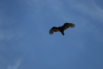 Over head