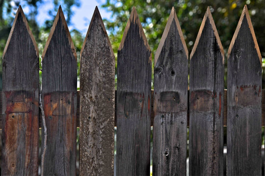 Very Sharp picket fence.  Reused stakes sharpened and remounted for clean look