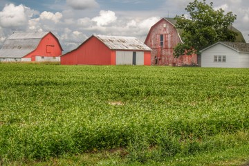 Obraz premium 0649 - Roadside Trio (0649-BAR-08807177-0133P)