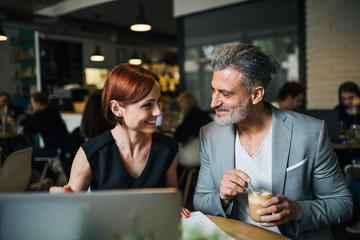 Man and woman having business meeting in a cafe, using laptop.