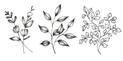 Floral doodle set of leaves isolated on white background.