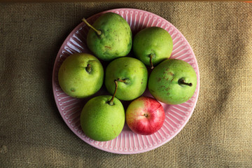 Green yellow organic pears and one small red apple, different not like others, on delicate pink plate, on a coarse retro cloth canvas. Dark atmospheric photo of fruits, autumn harvest. Top view 