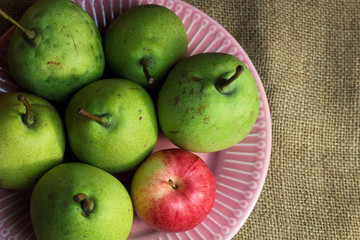 Green yellow organic pears and one small red apple, different not like others, on delicate pink plate, on a coarse retro cloth canvas. Dark atmospheric photo of fruits, autumn harvest. Top view 