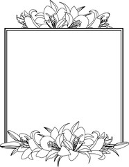 square wedding frame with flowers of lilies, vector illustration. Black and white drawing