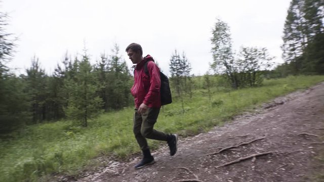 Hiker man wearing hiking backpack and red jacket while walking in summer forest. Stock footage. Young man following the path outdoors along the woods.