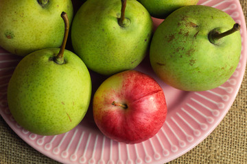 Still life orange yellow pumpkins butternut squash and red green pears, autumn farm harvest on retro canvas and pink plate. Autumn fall atmospheric dark harvest still life on black background