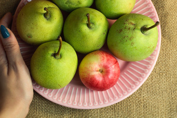 Green organic pears and one small red apple, different not like others, on delicate pink plate with female woman hands, picturesque still life on coarse retro cloth canvas. Atmospheric fall harvest