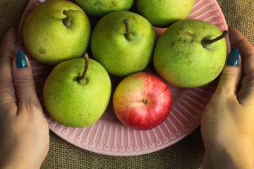 Green organic pears and one small red apple, different not like others, on delicate pink plate with female woman hands, picturesque still life on coarse retro cloth canvas. Atmospheric fall harvest