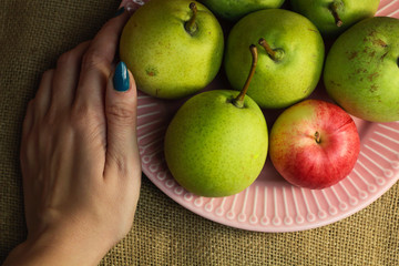 Green organic pears and one small red apple, different not like others, on delicate pink plate with female woman hands, picturesque still life on coarse retro cloth canvas. Atmospheric fall harvest