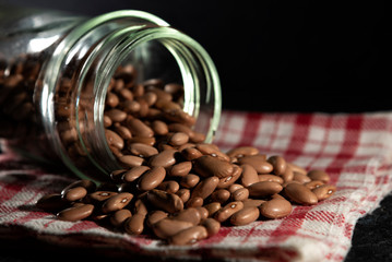 Phaseolus vulgaris, also called beans, chingadilla, grain, pocha, faba, caraota or bean brown