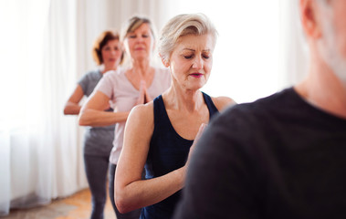 Fototapeta premium Group of senior people doing yoga exercise in community center club.