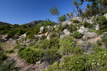 Naturlandschaft mit Lava-Gestein auf der Halbinsel Methana, Peloponnes, Griechenland - Landscape...