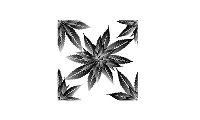 Vector cannabis seamless white pattern