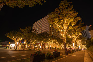 神戸の街並み
