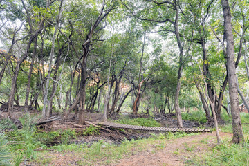 Wooden pedestrian bridge on the Kudu Trail at Swadini