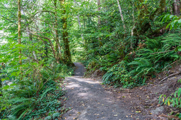 Priest Point Park Trail
