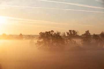 Fototapeta na wymiar Misty forest landscape in the morning, Russia