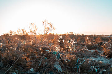 Garbage pile in nature among plants. Toxic plastic into nature everywhere. Rubbish heap in park among vegetation. Contaminated soil. Eco issue.