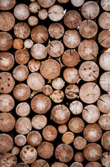 Fototapety  Pile of wood logs stumps for winter