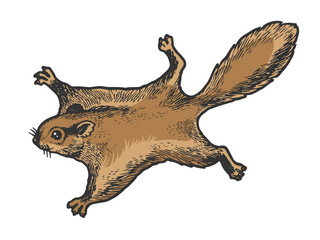 Flying squirrel animal sketch engraving vector illustration. Tee shirt apparel print design. Scratch board style imitation. Black and white hand drawn image. © Oleksandr Pokusai