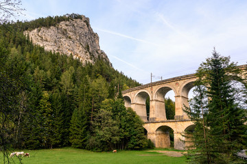 Obraz premium rail viaduct - train bridge over a valley - Semmering Bahn - unesco world heritage - 