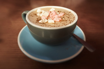 Hot Chocolate with Marshmallows