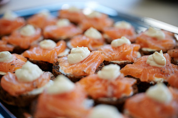 Salmon appetizers on a plate
