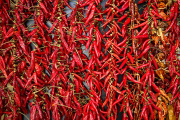Fototapeta premium Peperoni, Chilischoten werden auf einem Markt verkauft