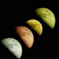 Luna crescente © Steve Fossiant
