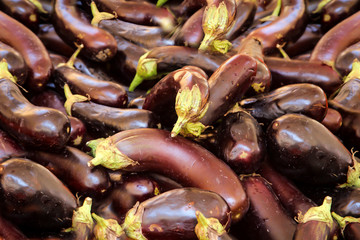 Frische Aubergine die auf dem Markt angeboten werden 