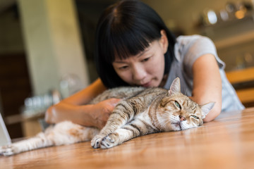 woman touch her cat