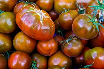 Full frame close up of shiny ripe black and red tomatoes on French market - Provence, France