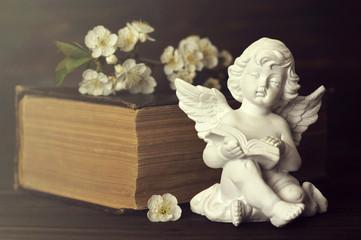 Guardian angel, spring flowers and book