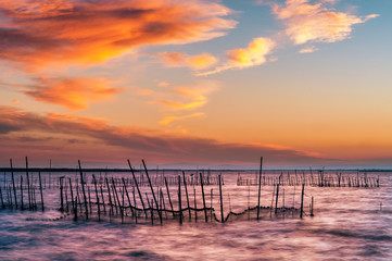 Fototapeta premium Albufera is a natural park in the province of Valencia, in the Valencian Community, Spain. It was also known by the Romans as Nacharam Stagnum and in some Arabic poems it is called Mirror of the Sun.