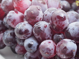 Bunch of black grapes. Kish-Mish. Berries closeup.