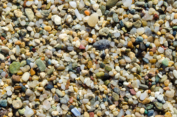 Pebble beach. Small colored sea stones close-up. Multicolor seabed. Selective focus image, copy space. Sea beach backdrop. Summer holiday concept.