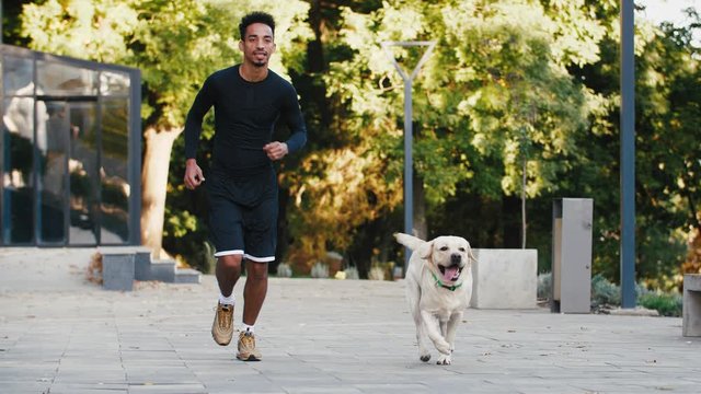 Young black man running with his white labrador dog through the city park during beautiful fall morning, slow motion