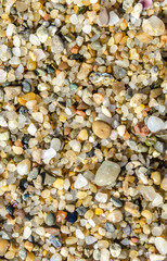 Pebble beach. Small colored sea stones close-up. Multicolor seabed. Selective focus image, copy space. Sea beach backdrop. Summer holiday concept.