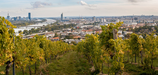 Wien Panorama &uuml;ber Weinberge	