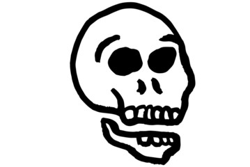 Jolly Roger skull pirate flag vector