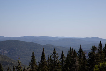 mountains in the fog