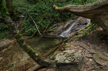 Waterfall near the river Shahe in Sochi