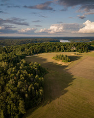 Fototapeta na wymiar Aerial view of wheat fields and a forest