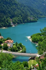Fototapeta na wymiar Lake bled slovenia nature