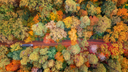 aerial veiw of colorful forest and train on the railway. amazing autumn background. bird's eye, drone shot