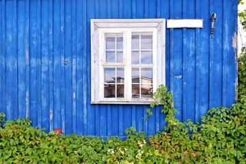 picturesque house facade with blue grungy wooden walls and window in a white frame with weaving green plants and empty sign for text. house with bright blue wooden walls and a blank street sign